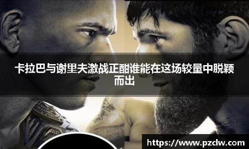 k1体育官方网站